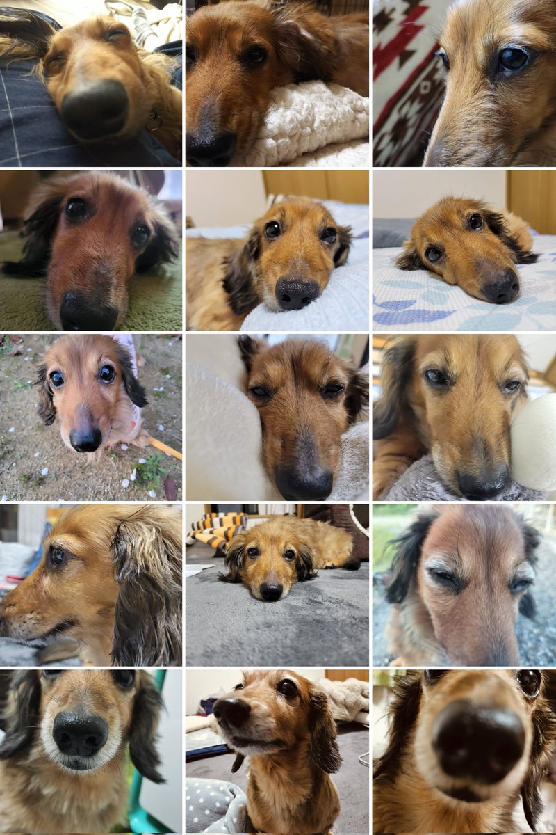 休憩時間これらを観てニヤニヤしている