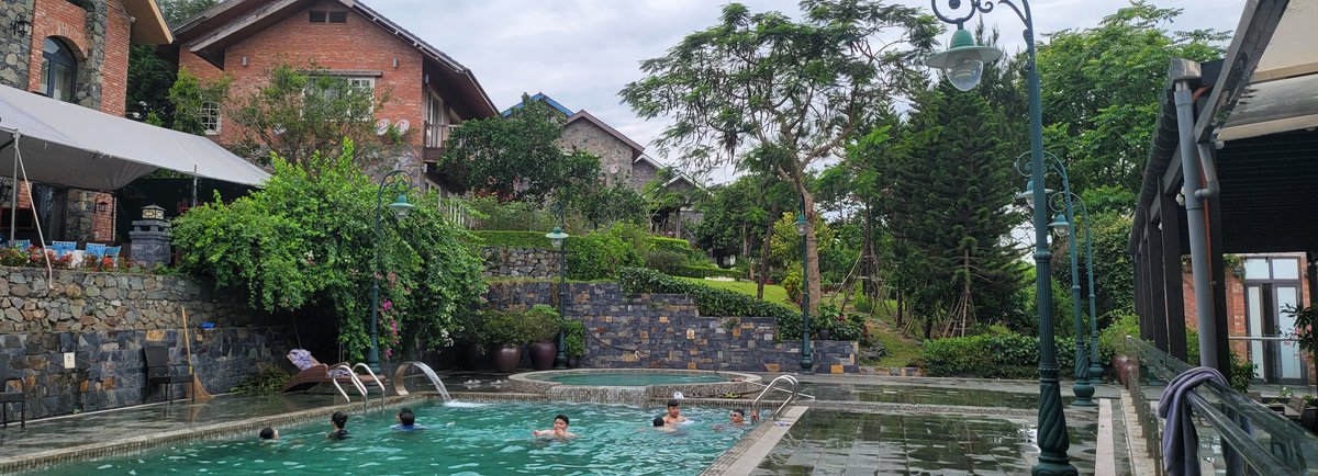 Thom Nguyen | Pineapple tweet media