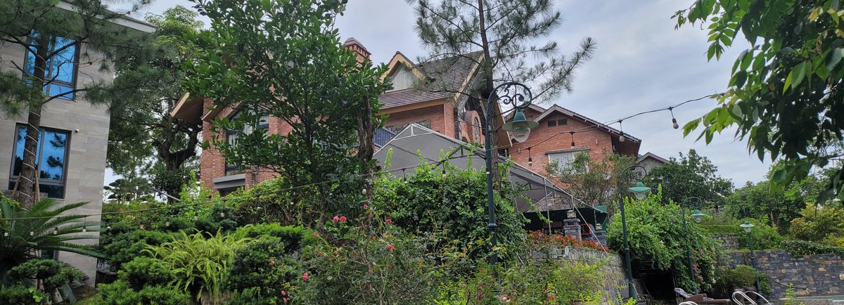 Thom Nguyen | Pineapple tweet media