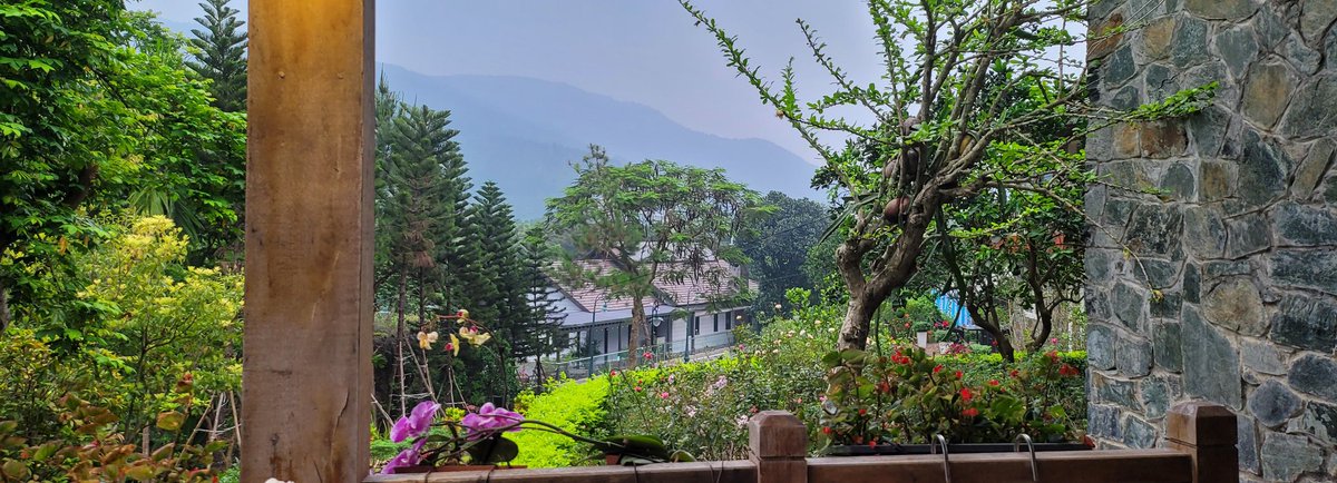 Thom Nguyen | Pineapple tweet media