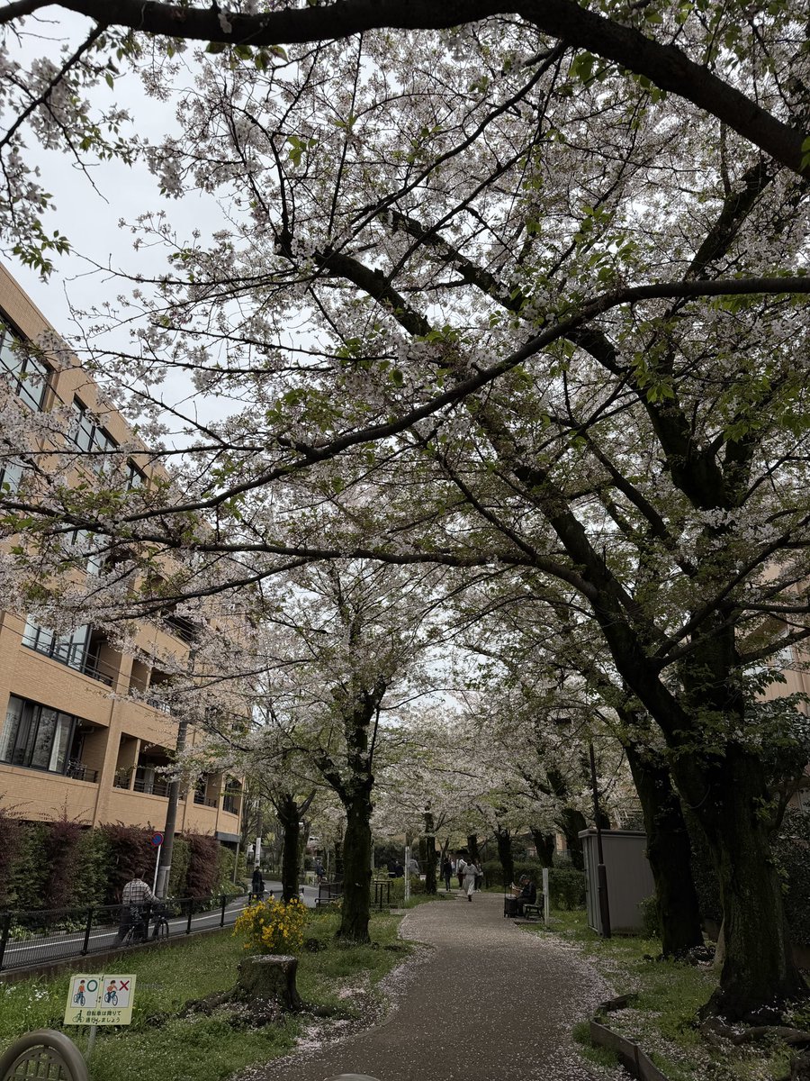 ひろ（星のソムリエ®） tweet media