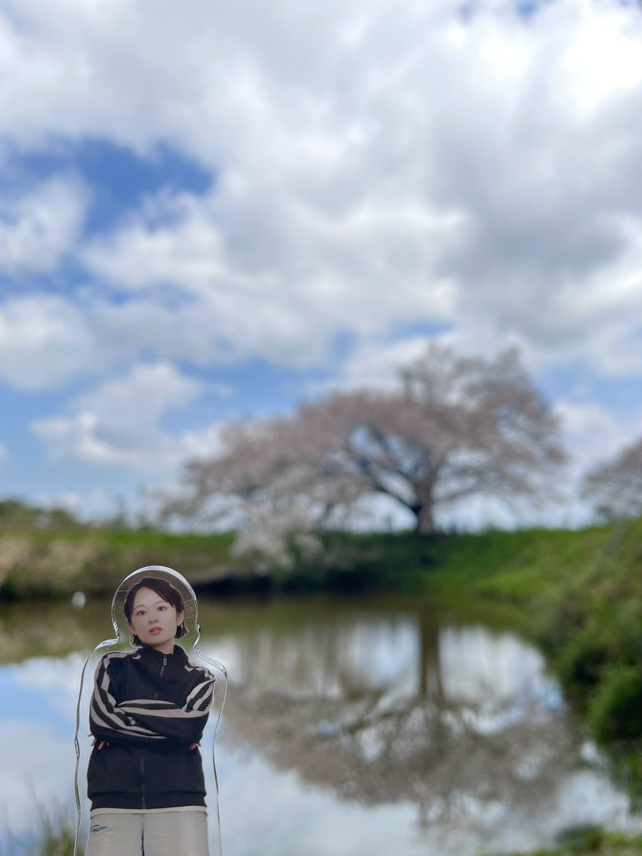 しも＠道楽者🍇🅿️🐊 tweet media