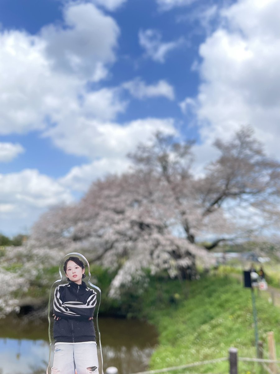 しも＠道楽者🍇🅿️🐊 tweet media