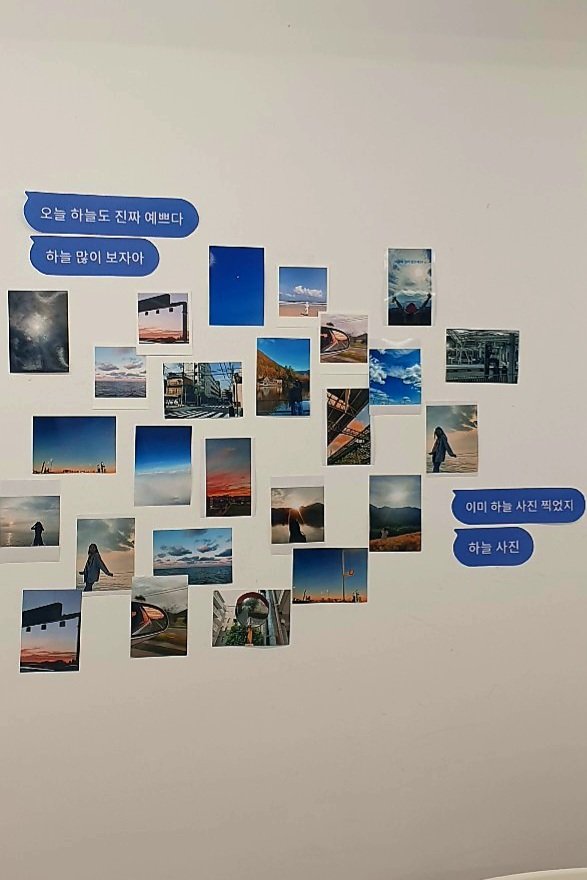 숲속오맹걸🍀 tweet media