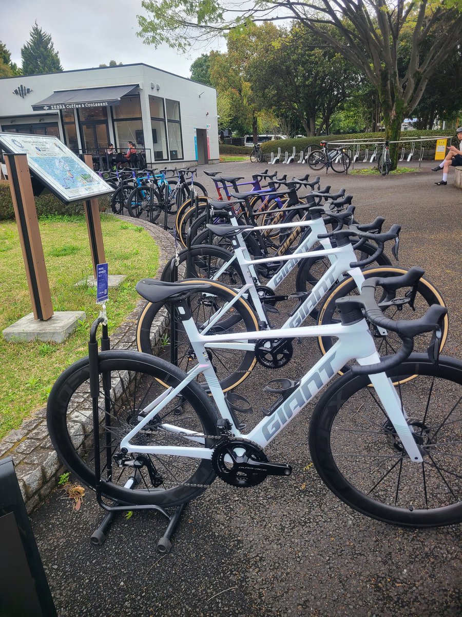 junghyper's tweet photo. 尾根幹のZEEBRAのとこてGiantの試乗会やってたっす！
新型プロペル並んでてカッコよかったっす！ https://t.co/9FHh1izowJ