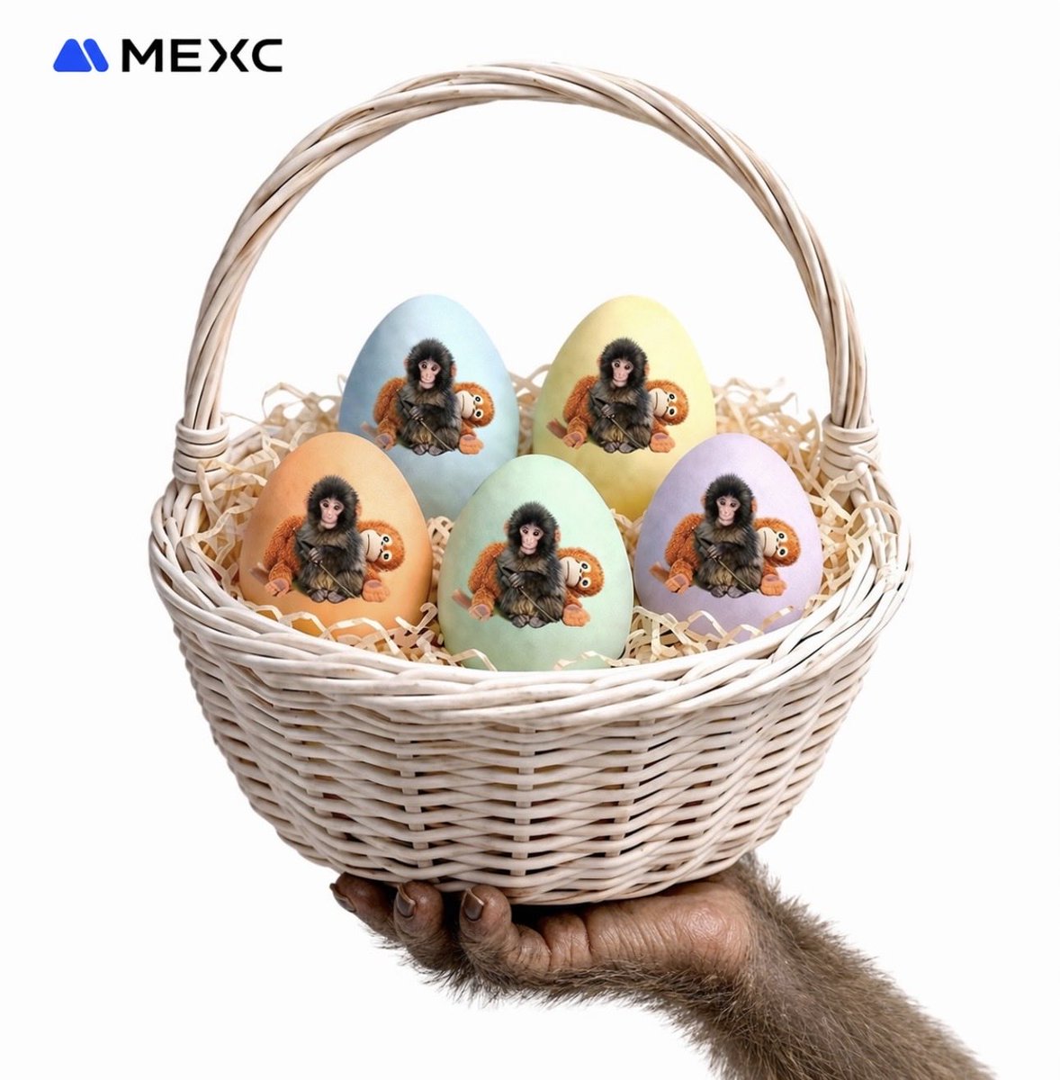 dollazPunch tweet media