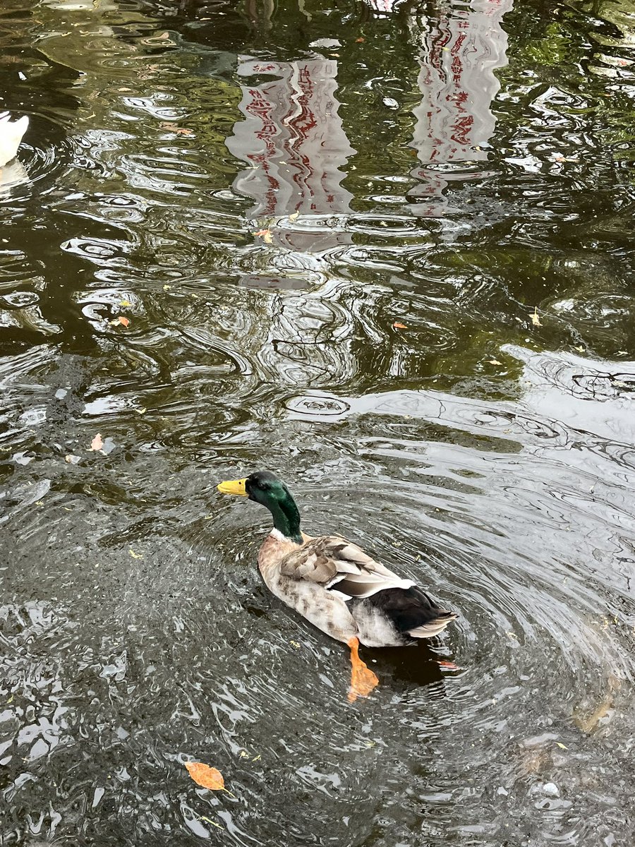 Moroo Jun tweet media