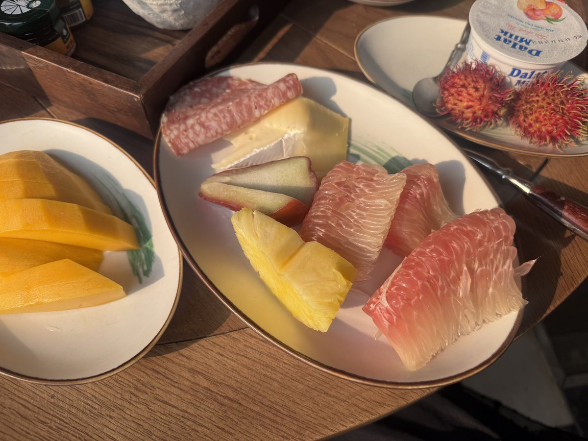 파이리 tweet media