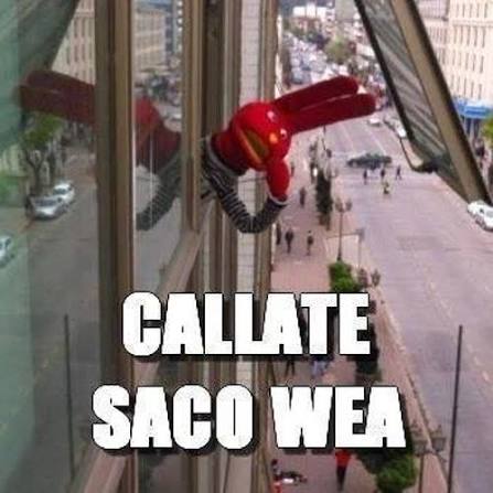 🤍Pichona🤍(Comm closed) tweet media