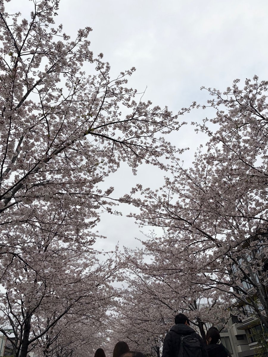 4月5日(日)オープンしています。いつもご利用いただきありがとうございます。特に通販はお顔の見えないやり取りのなか、多くの方にレビューをいただき本当に感謝しています。皆様のお気持ちはちゃんと伝わっております! リピーター様も、いつもありがとうございます!この場を借りてお礼申し上げます。