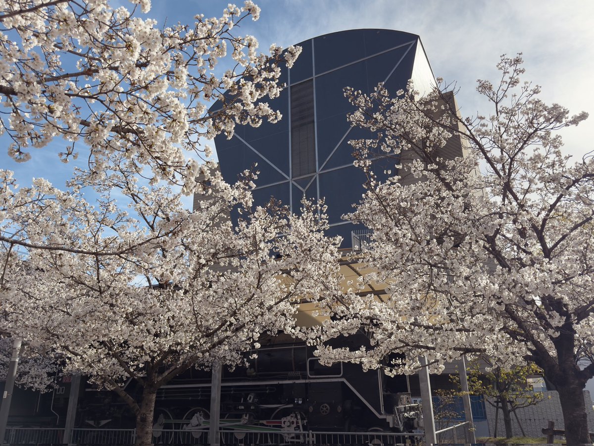 はれコス tweet media