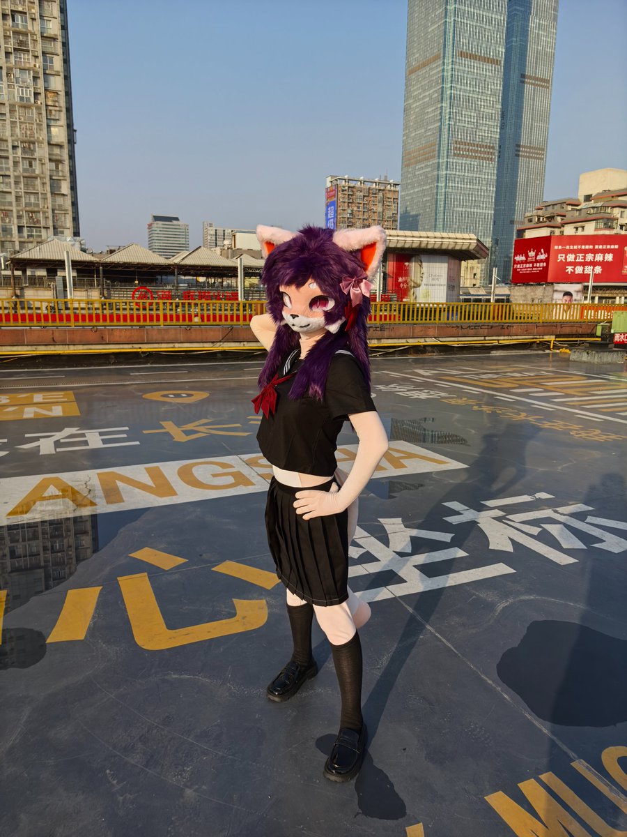 XingCai_Cat tweet media