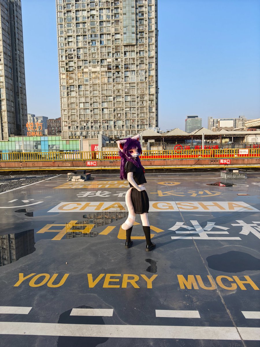 XingCai_Cat tweet media