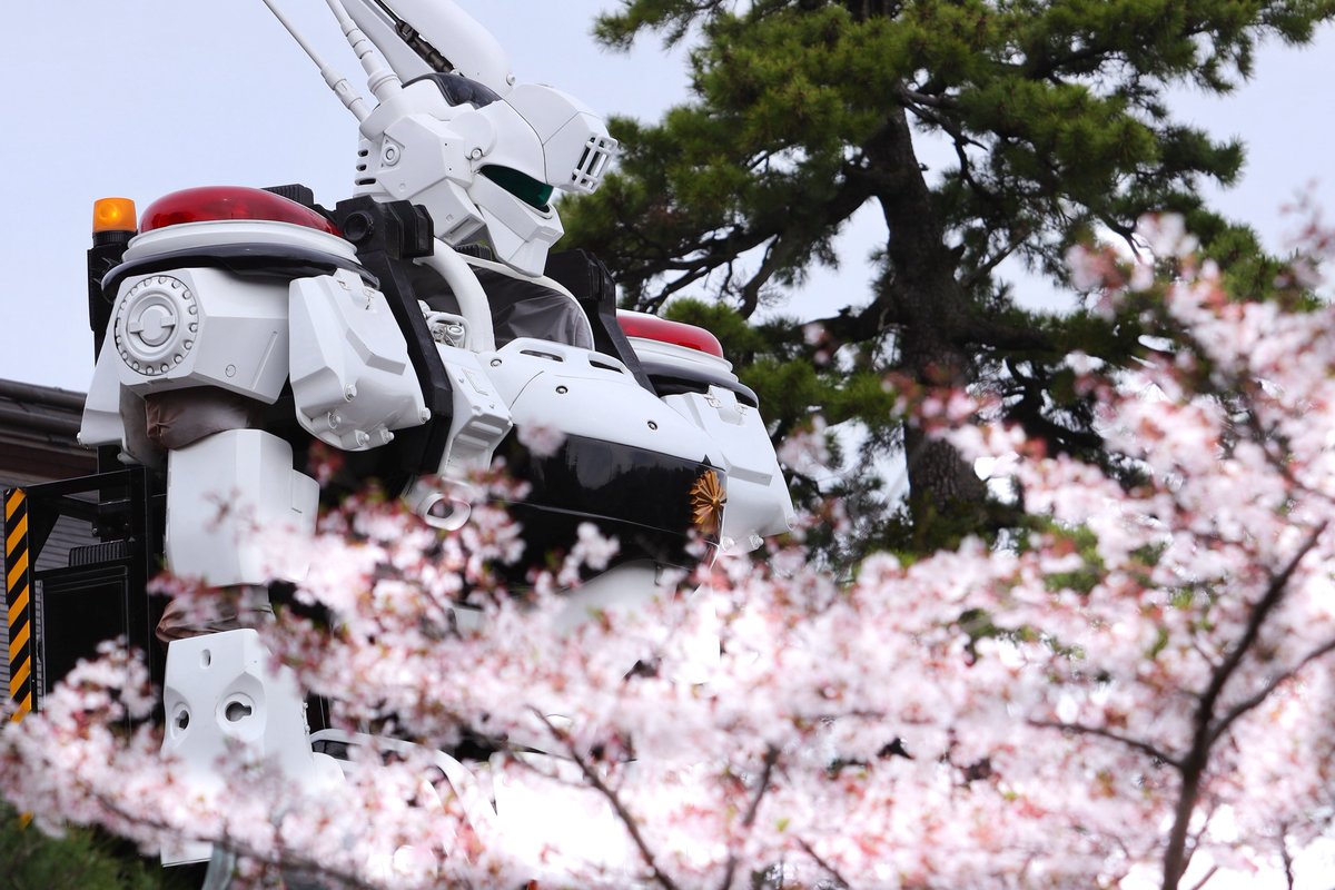 どりわご。 tweet media