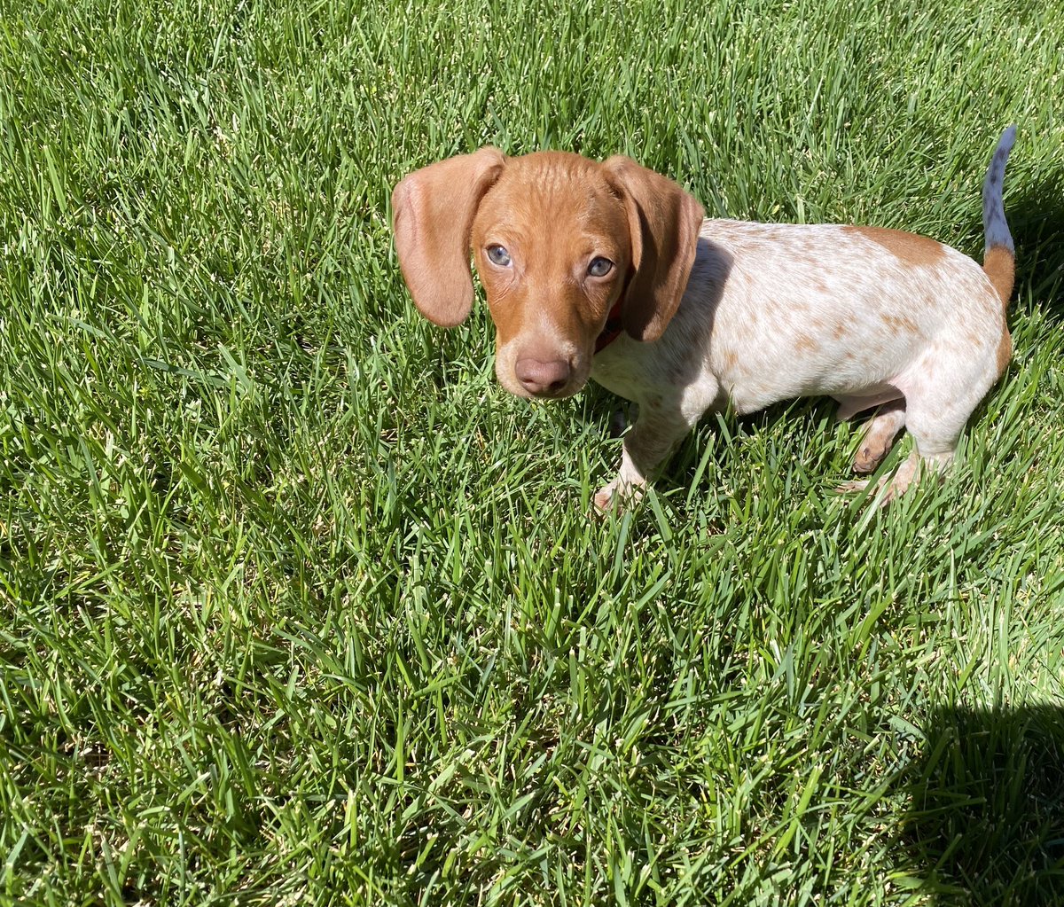 Charlie Ehrenfeld tweet media