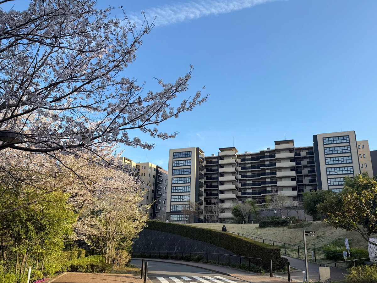 初任給坂46 tweet media