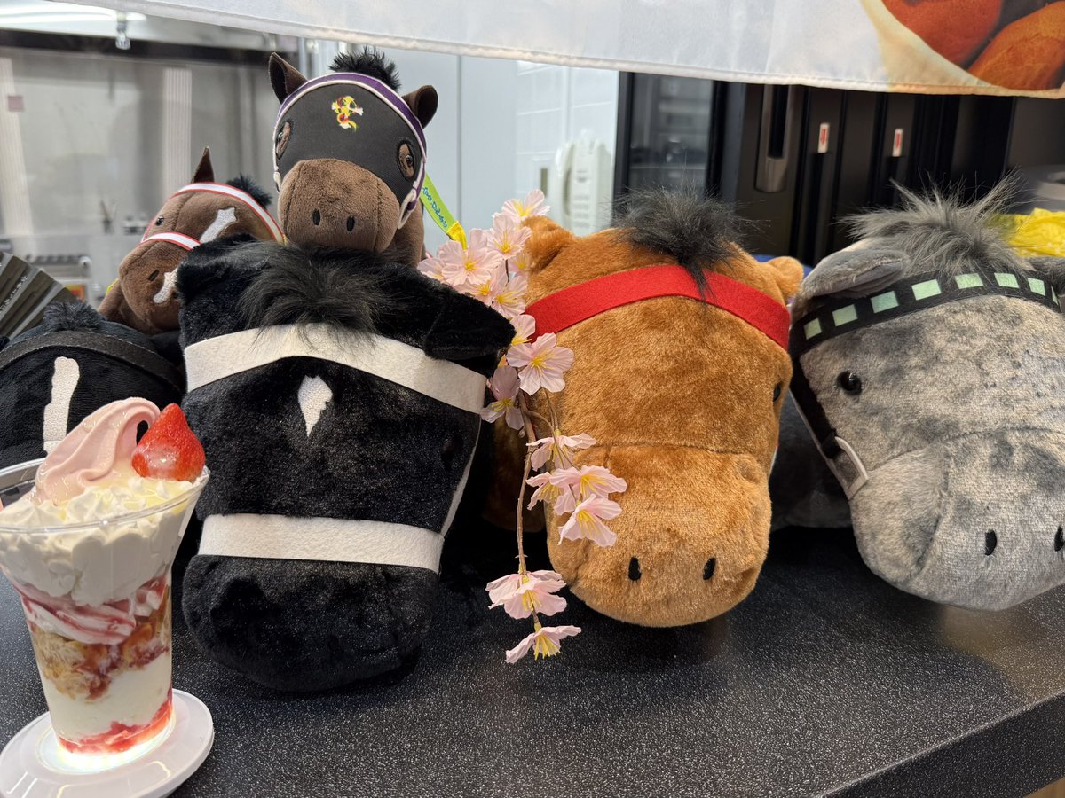 soma.fuma tweet media