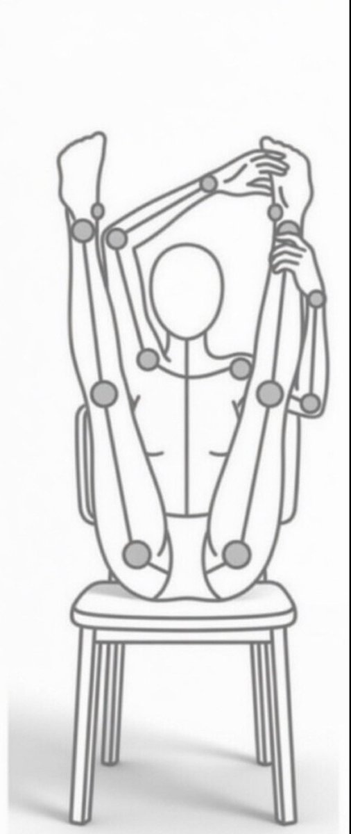 Cansu Hijab tweet media