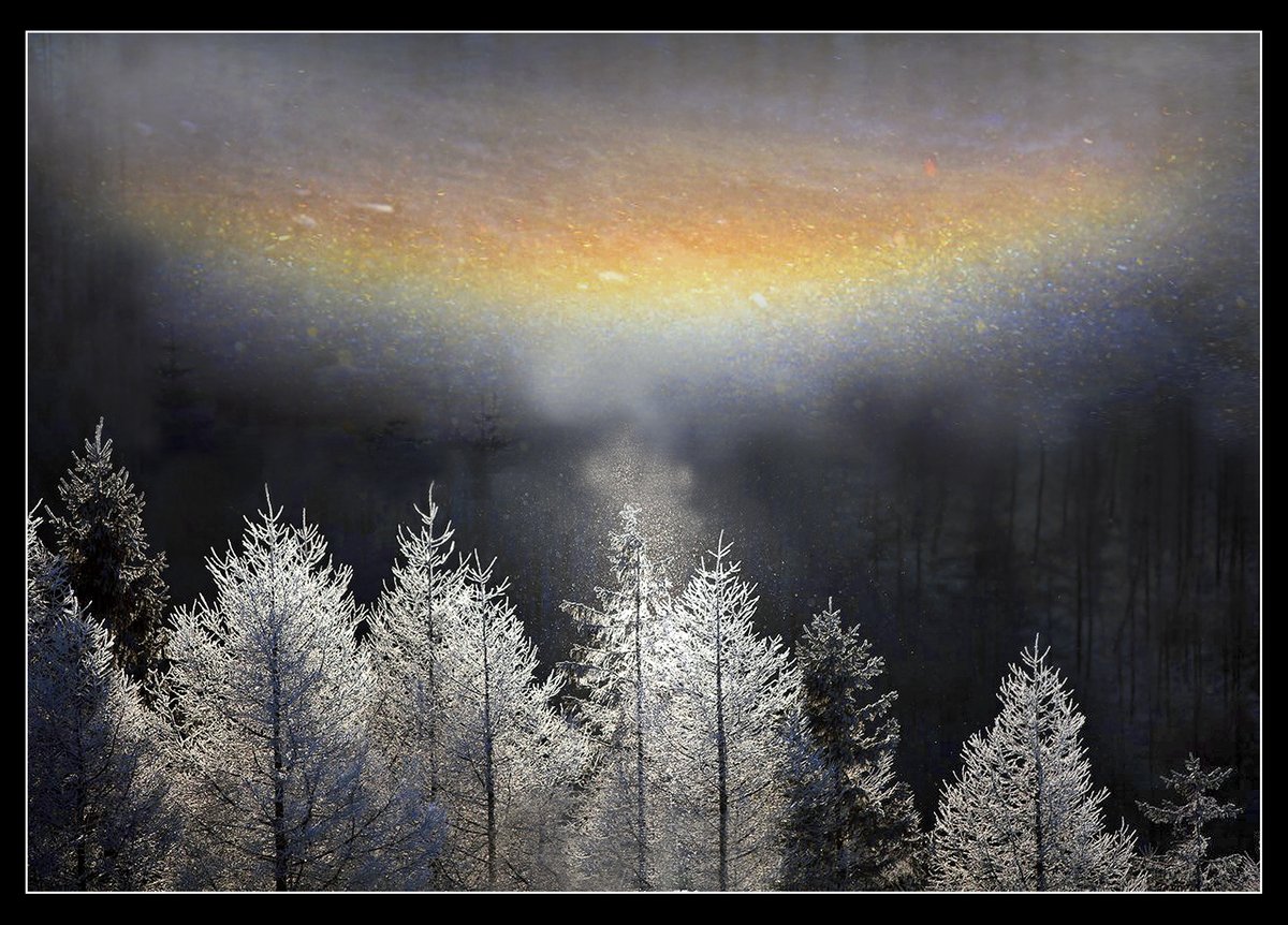 横田升吾(東京空 月光彩 Artist) tweet media