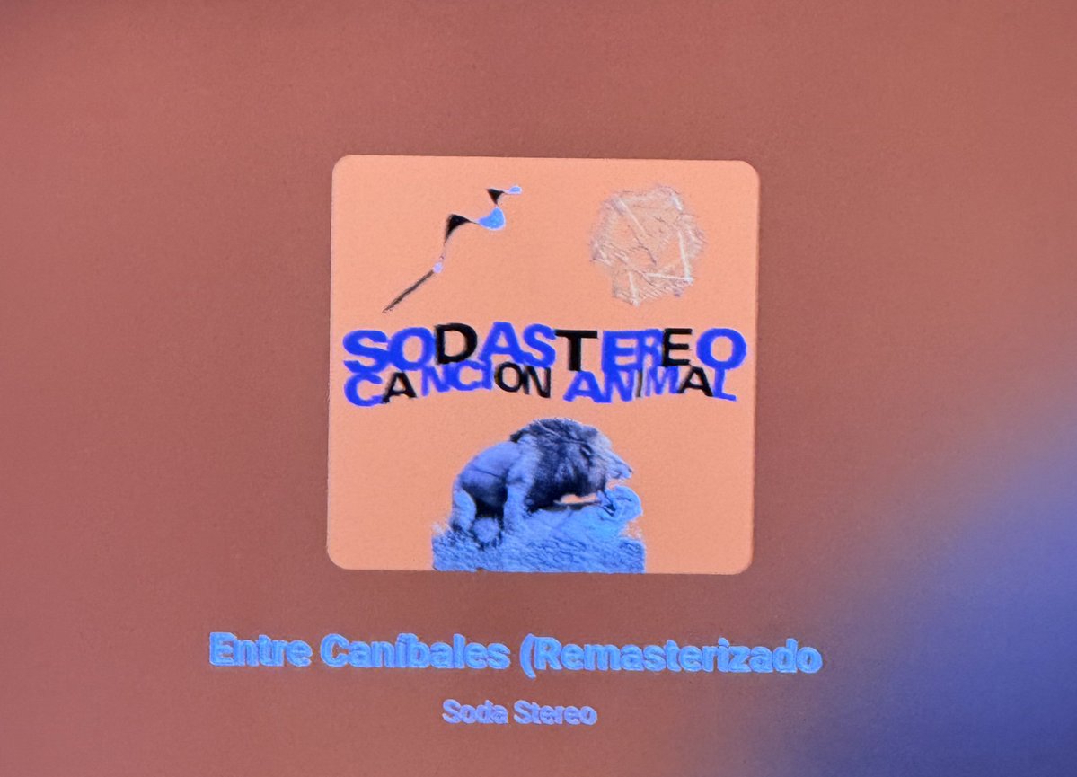 viento 🪭 tweet media