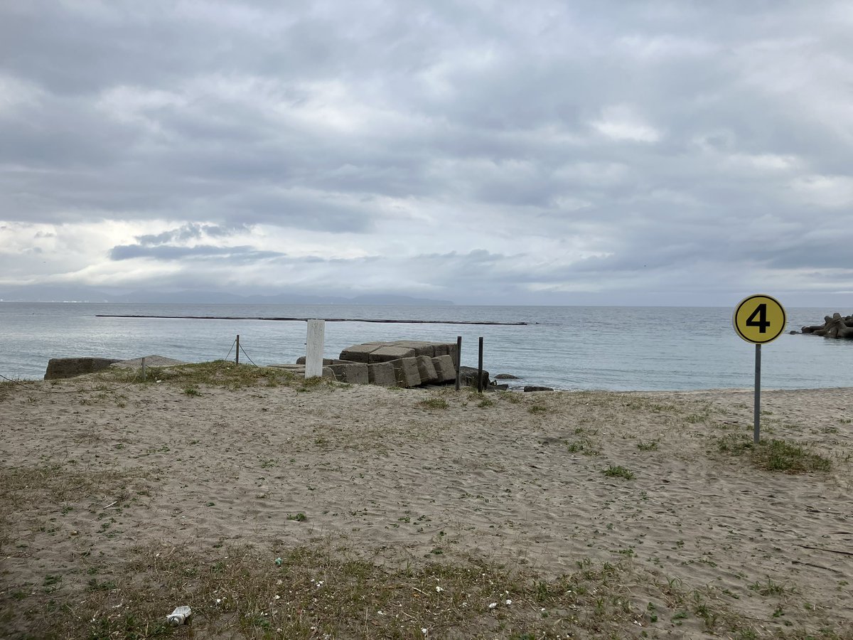 デービンソン・スレギ tweet media