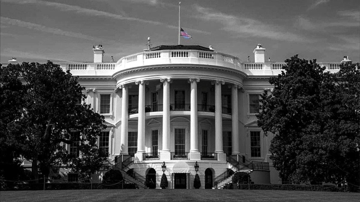 Bruno Brezenski tweet media