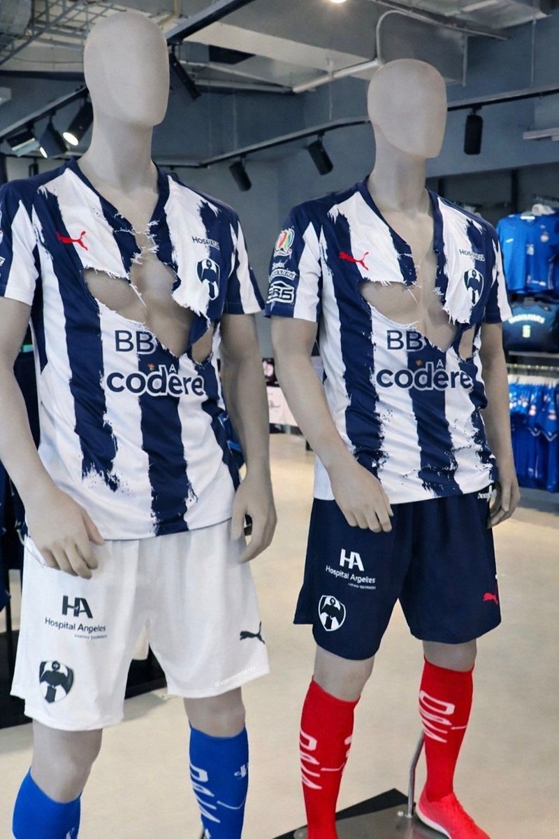 VHugoCastilloL 🐯 tweet media