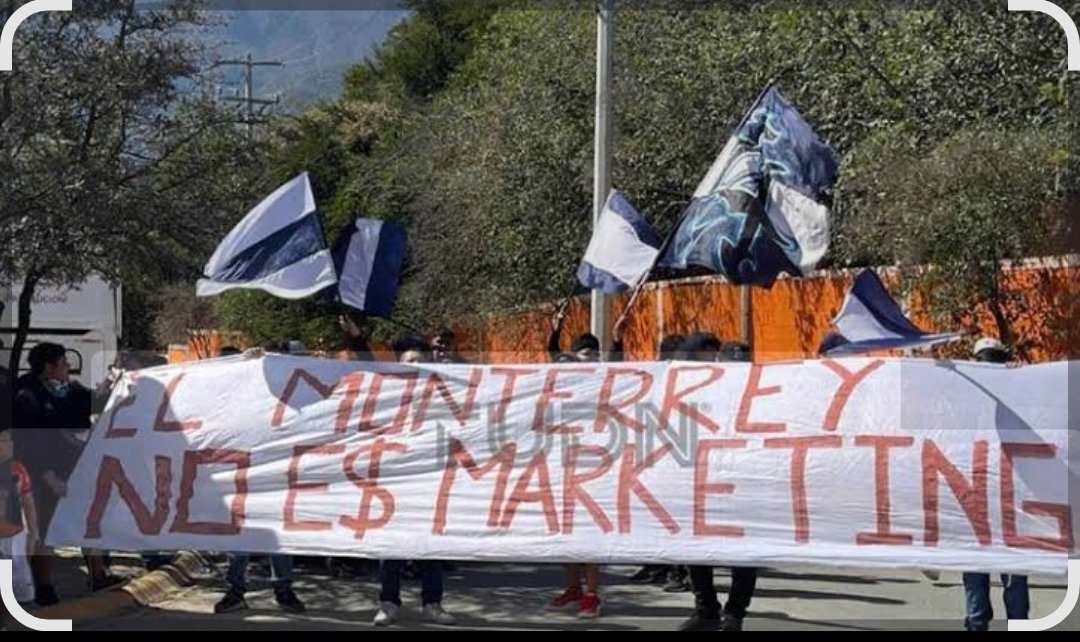 VHugoCastilloL 🐯 tweet media