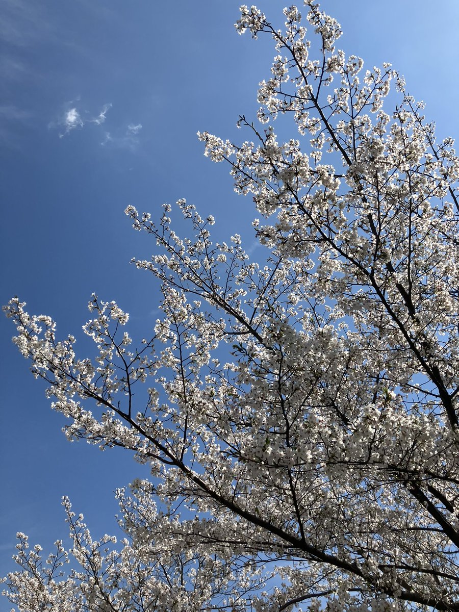 斉藤コータ tweet media