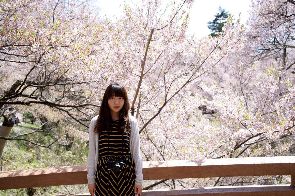 バロンさん tweet media