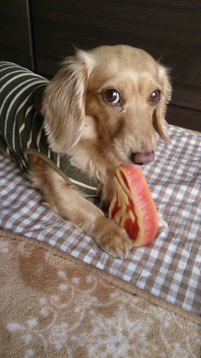 NicoChanتMan tweet media