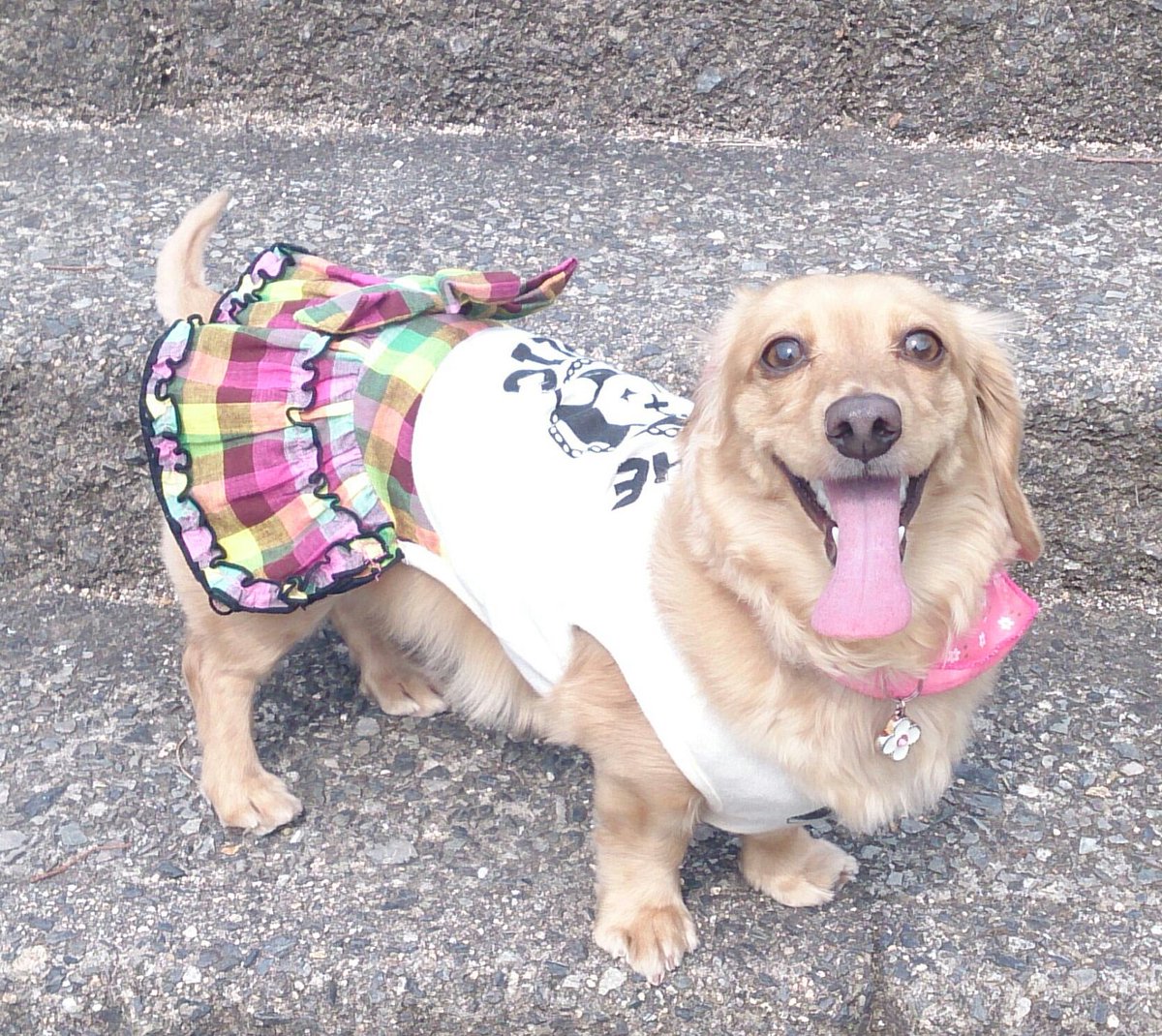 NicoChanتMan tweet media