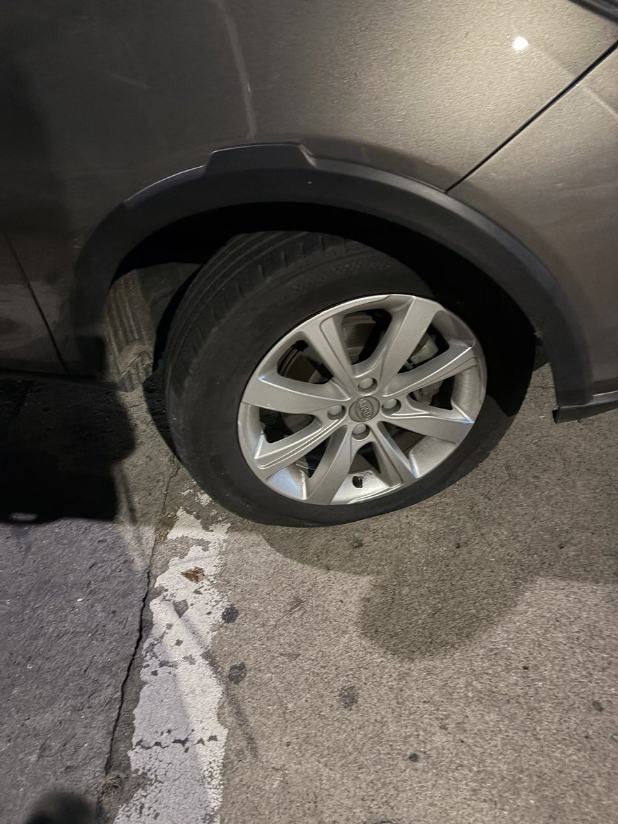 Ana Castillo Leska tweet media