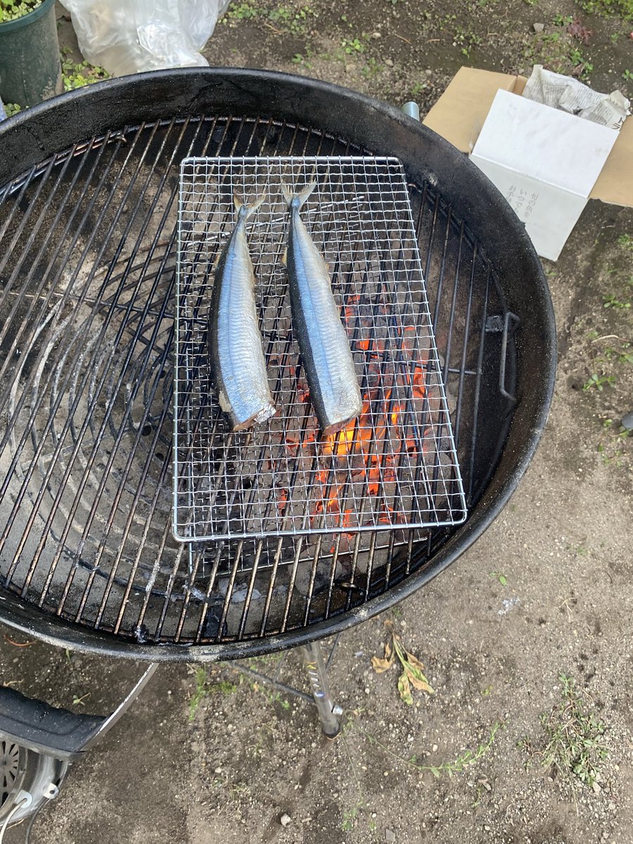 ChatGPT驚き屋/JunnosukeTachibana tweet media