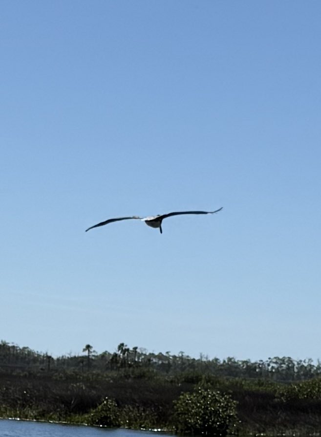 🇺🇸 Dave 🇺🇸 tweet media