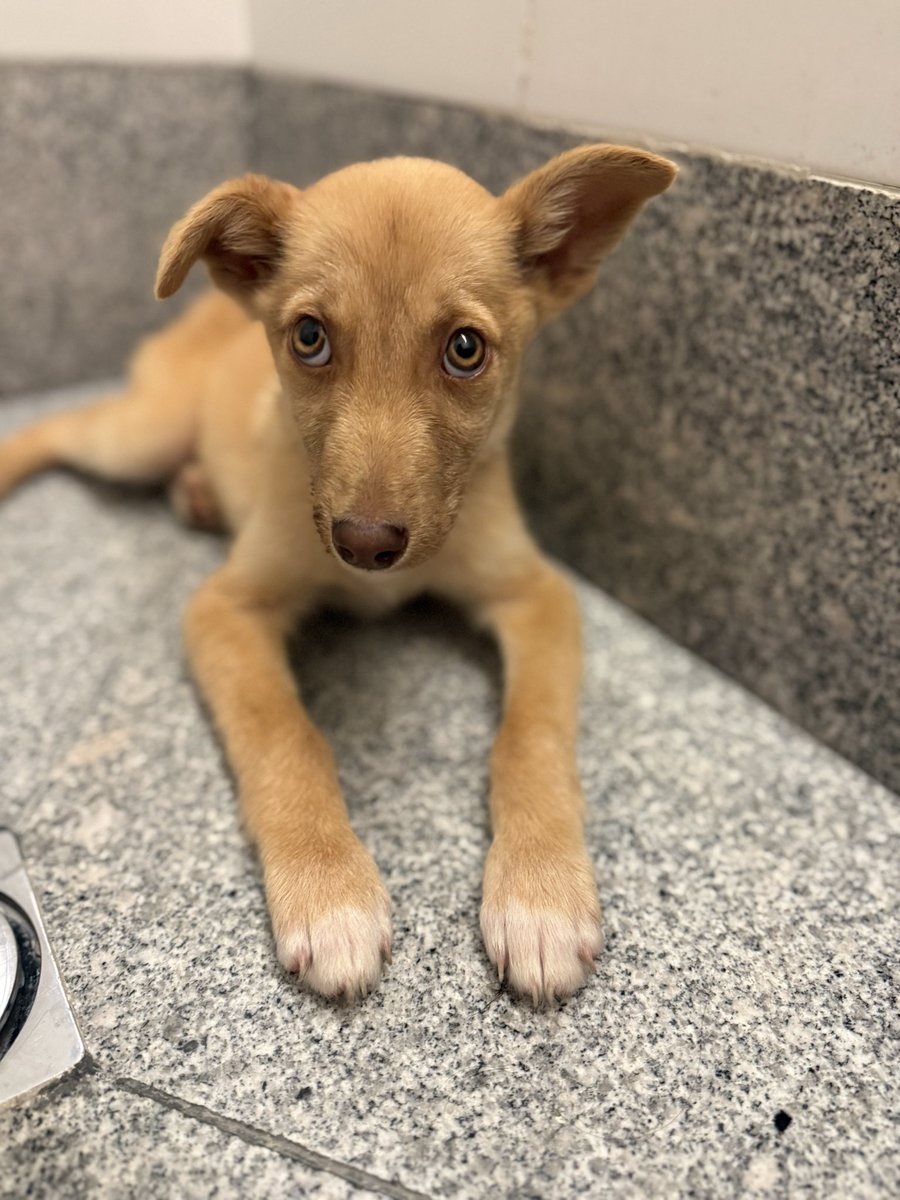 Kirén Miret tweet media