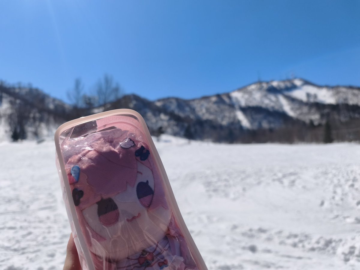 ほりにゃん tweet media