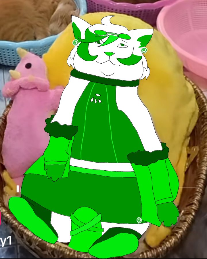 Bluesky Zenith tweet media