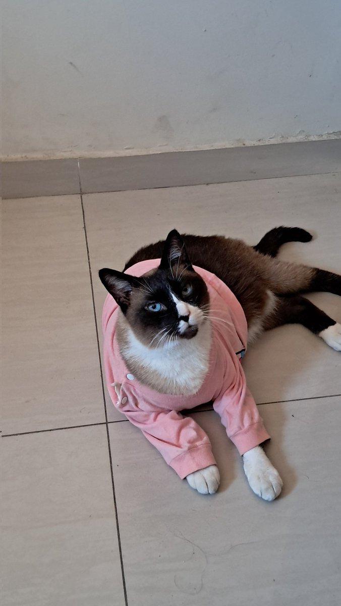 ᶻ 𝗓 𐰁 tweet media