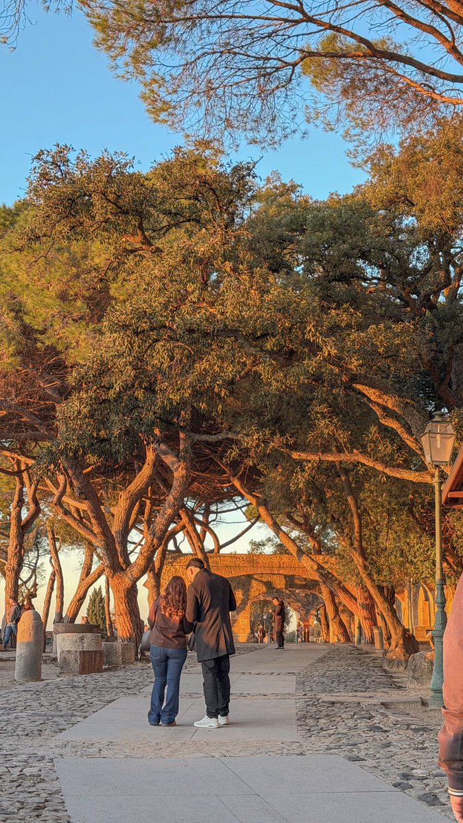 B!―૮ᴗ͈ . ᴗ͈ ྀིა tweet media