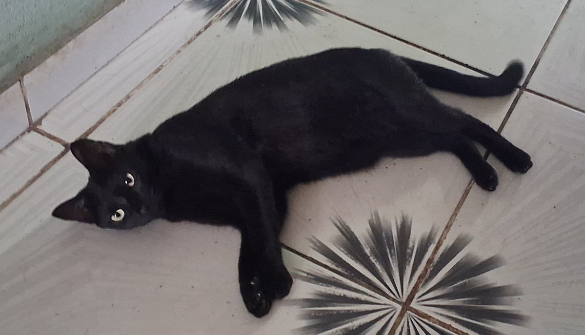 ᯓ juh. ☯︎ tweet media