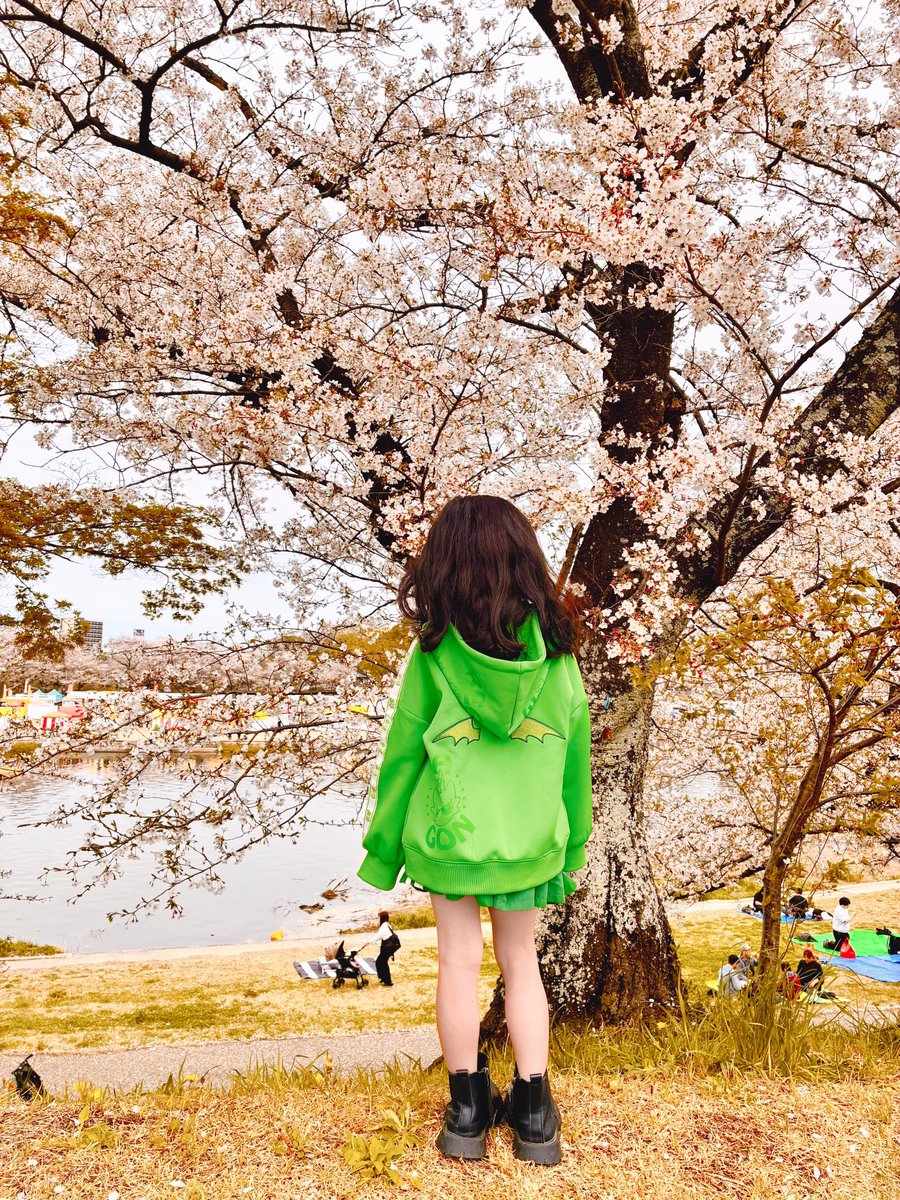 ぷわぷわガール💚みおちゃん✌️🧩 tweet media