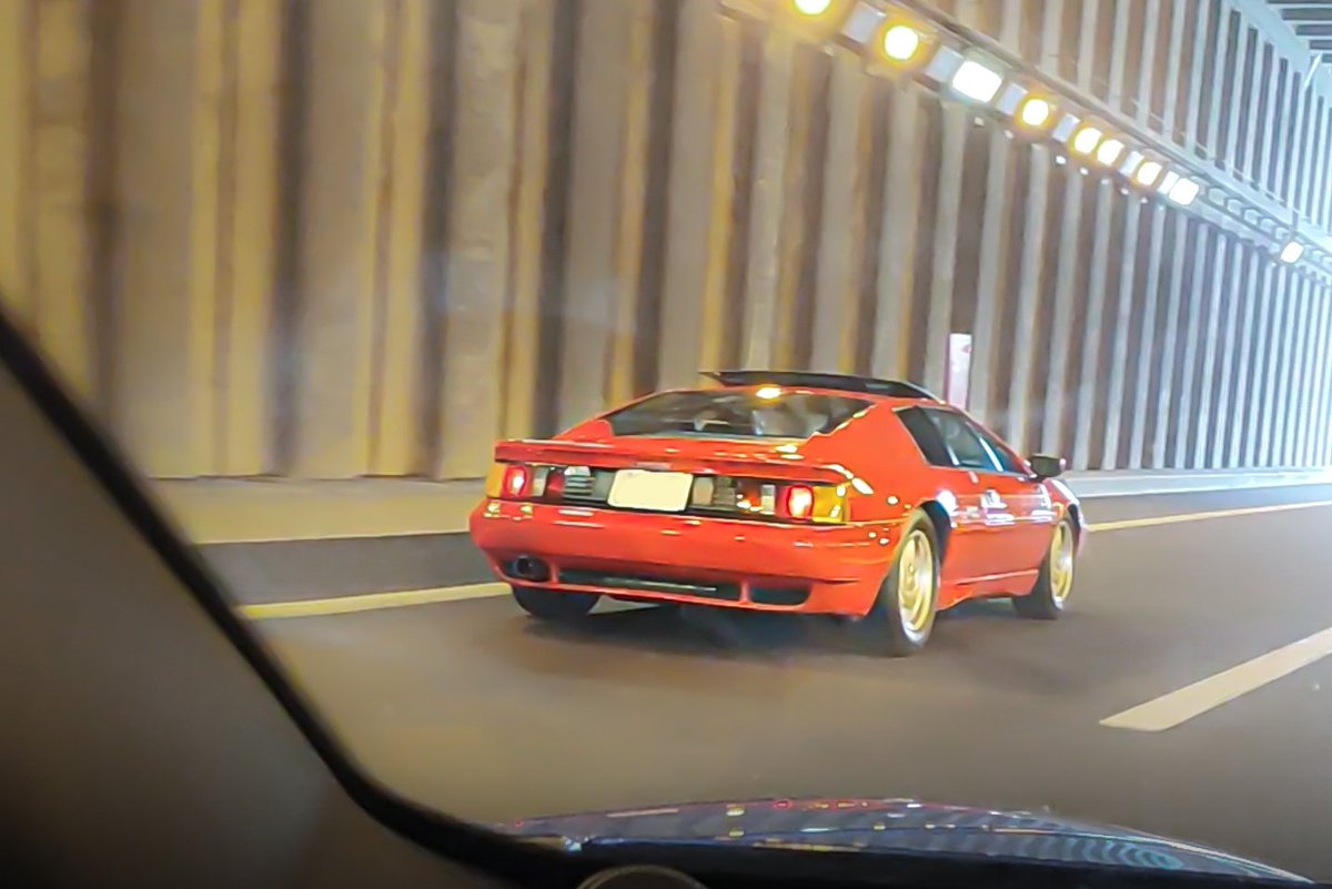 ピヌガヌ tweet media