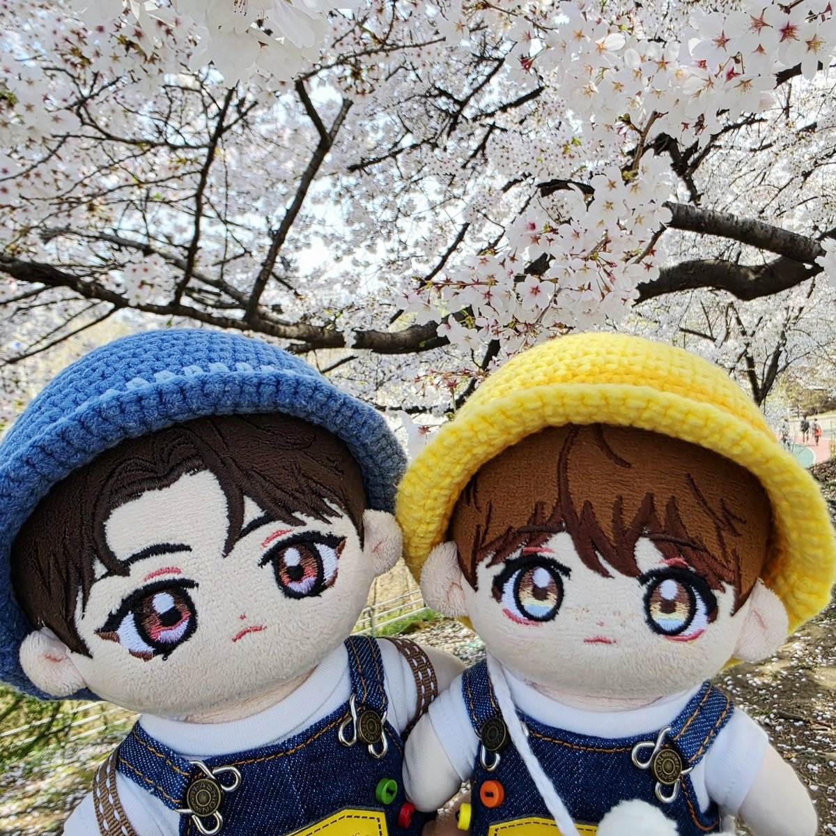 🏈아네트(๑•̀.•́๑)🍊 tweet media