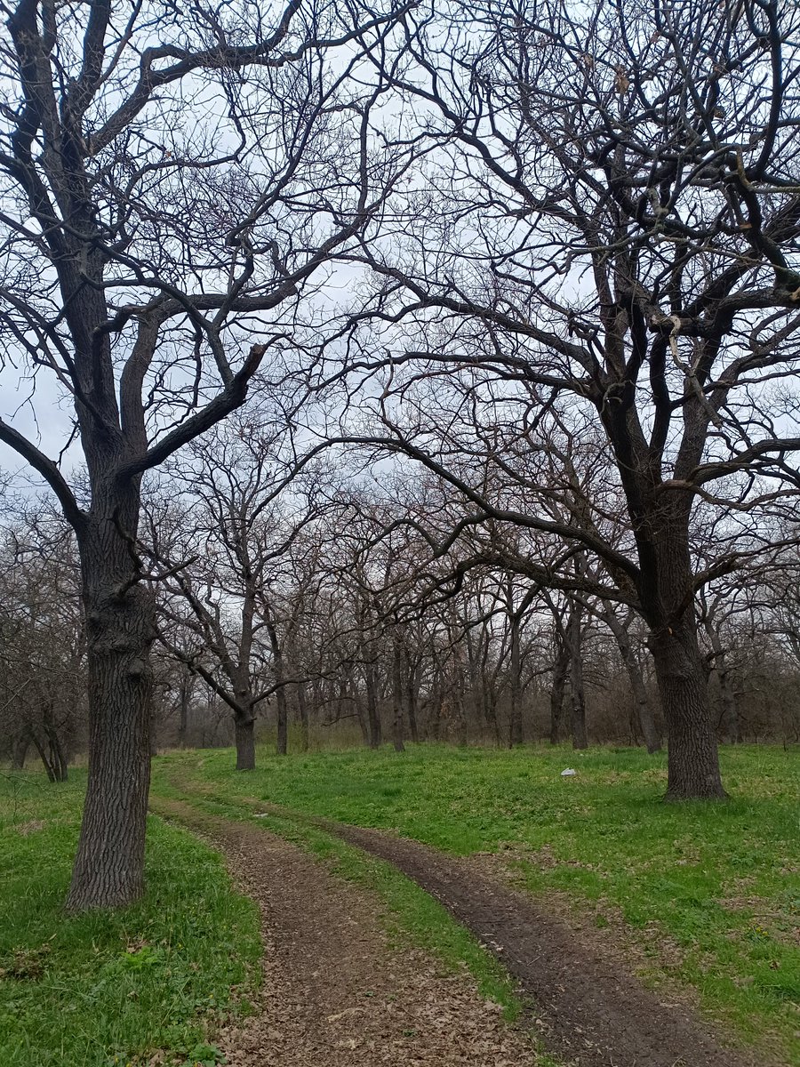 Mia Lauri tweet media