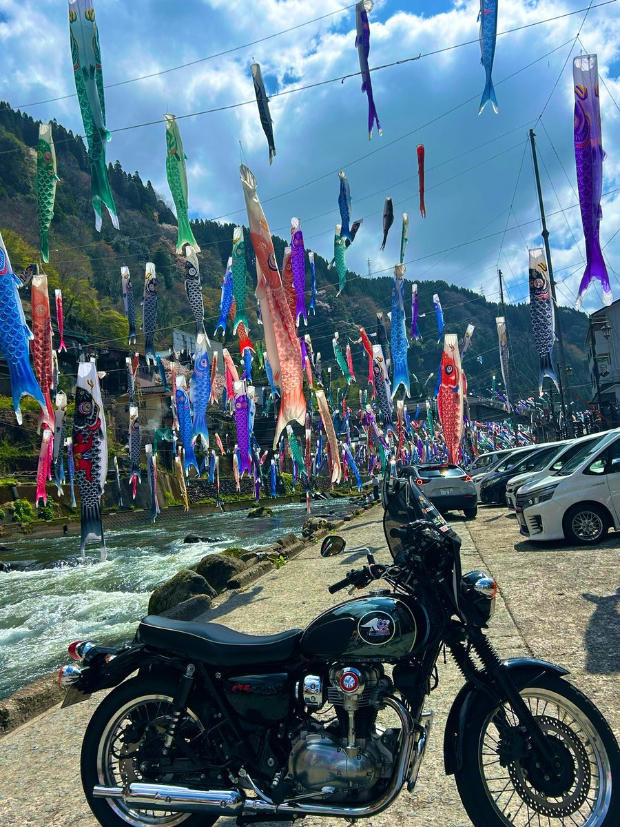 メグロEX tweet media