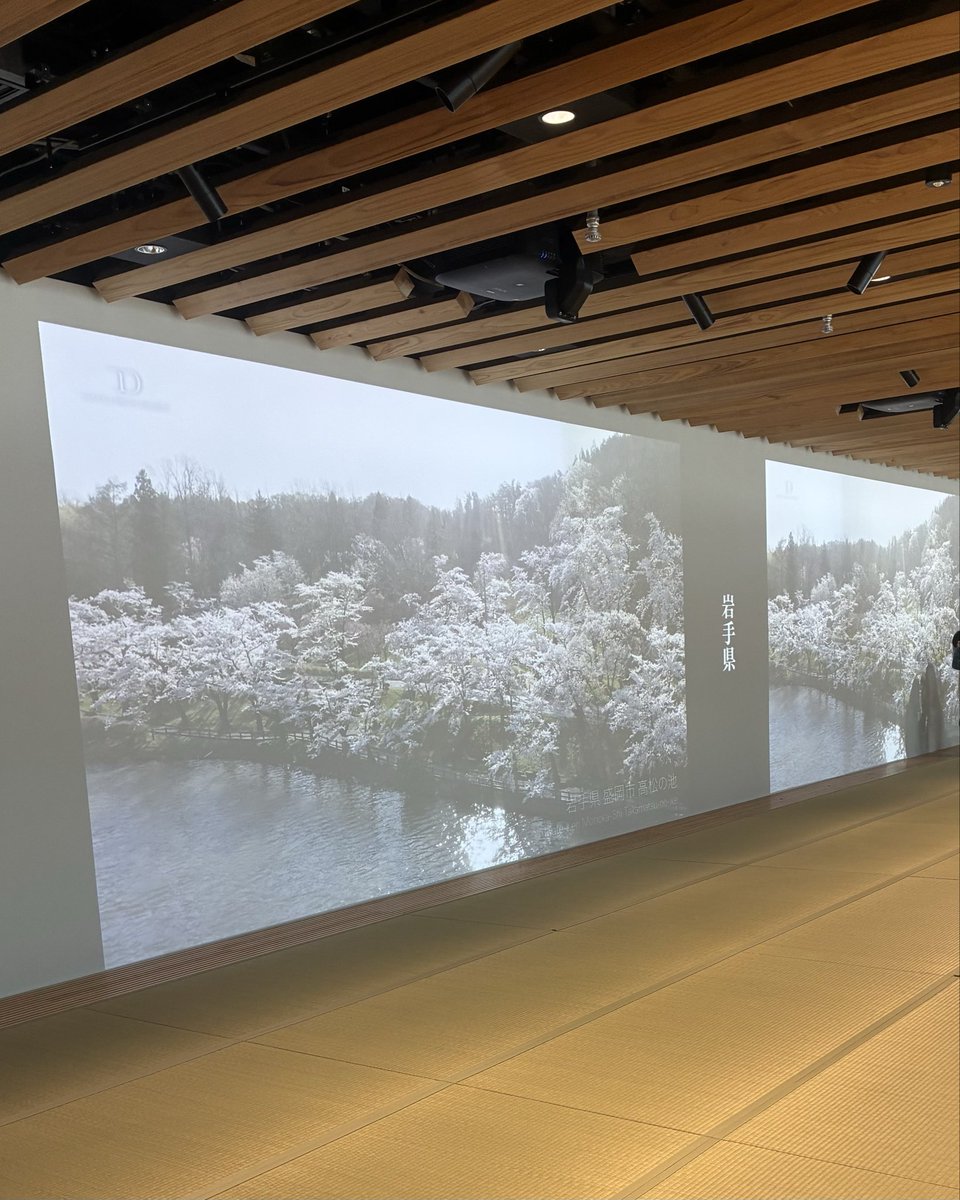 yutmomai tweet media