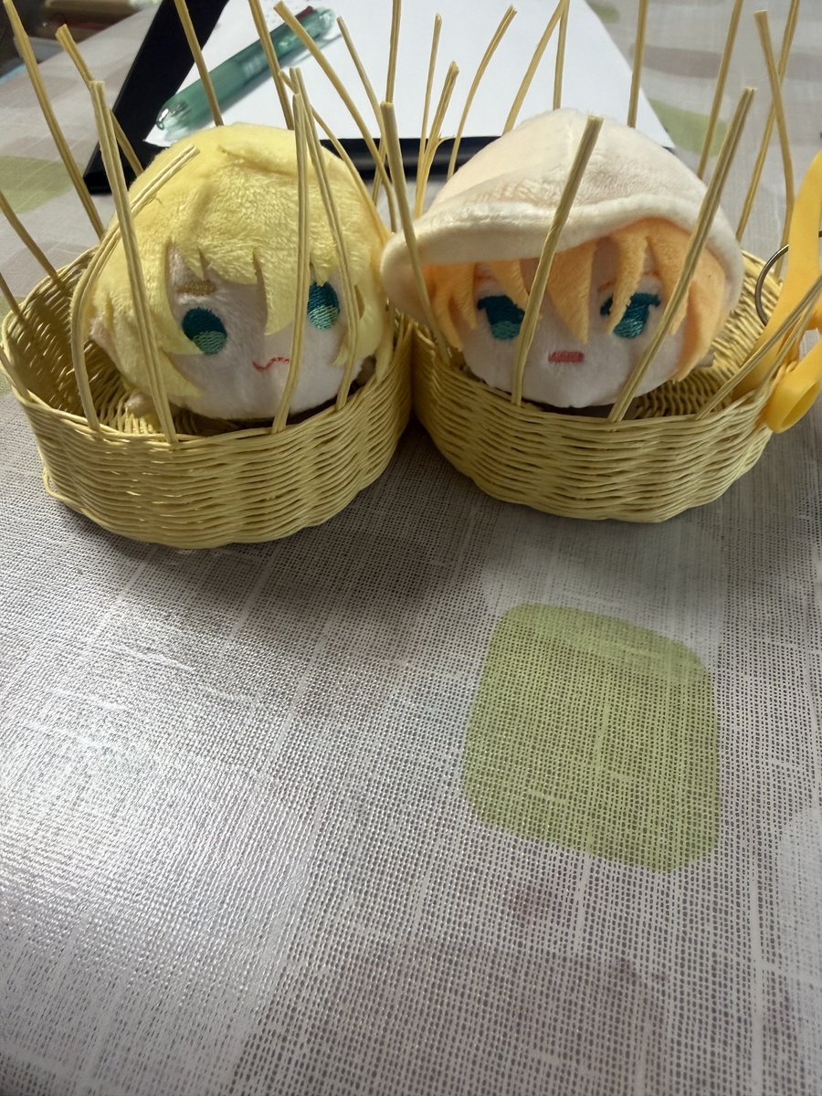 ちと🐟ぴょんぴょこのすがた tweet media