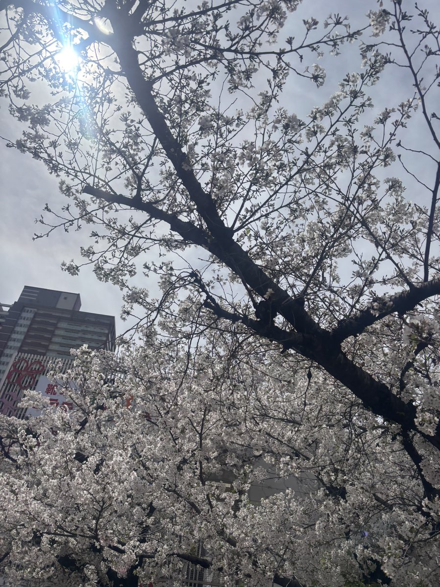 ぼみ 🍒⋆꙳ tweet media