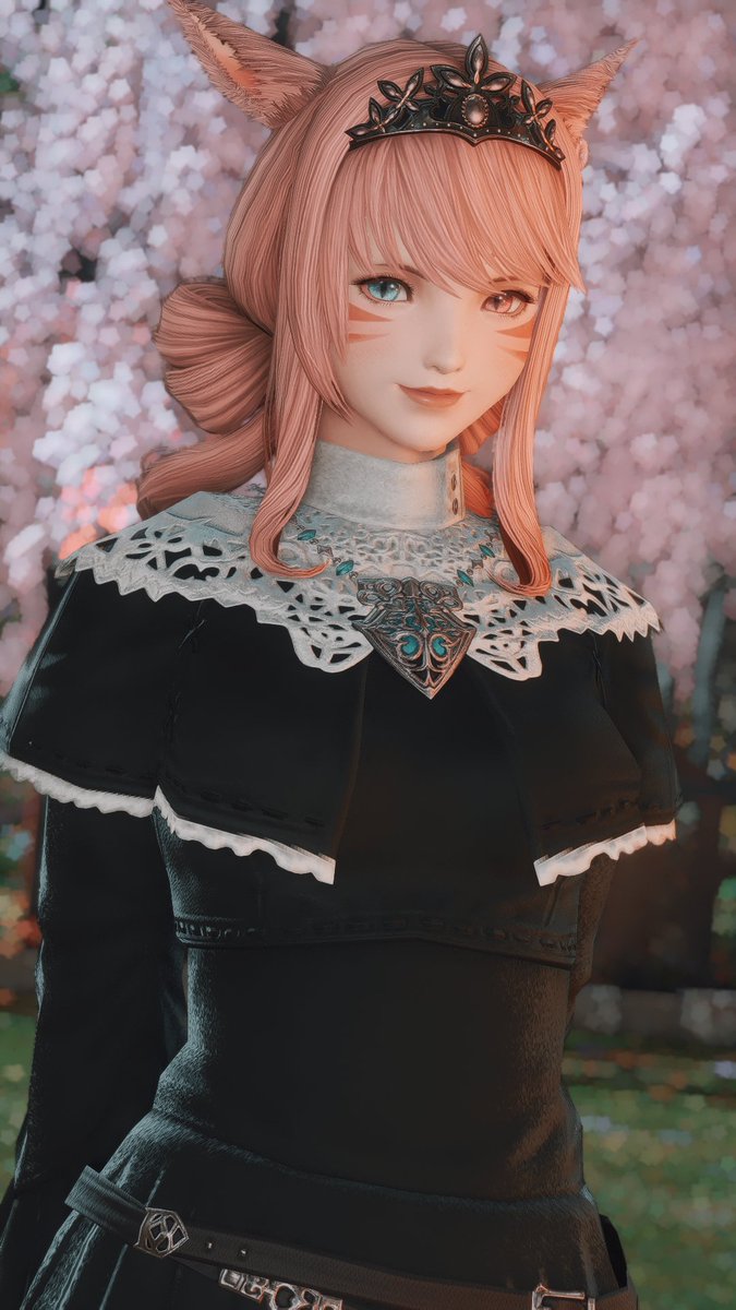 Momo 🌸 tweet media